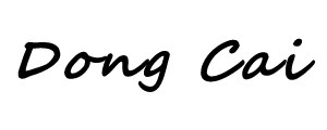 东彩服饰辅料有限公司