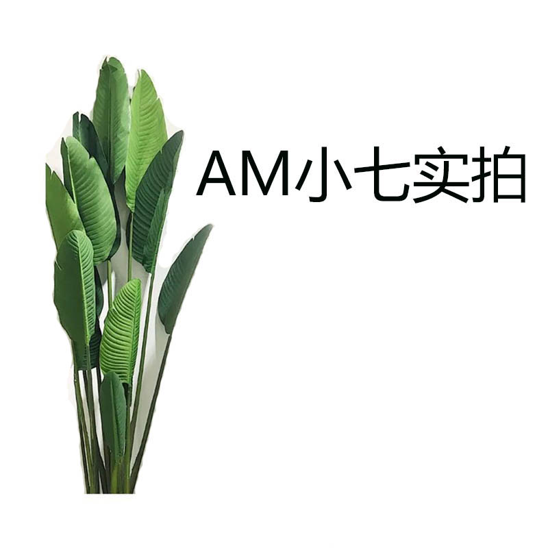 潮伊馆2012