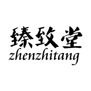 臻致堂的LOGO