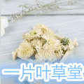一片叶草堂