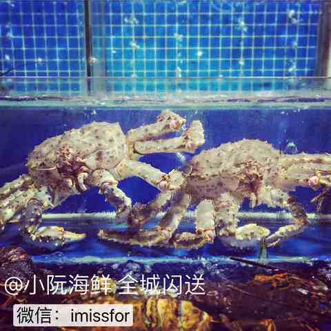 小阮品质生鲜