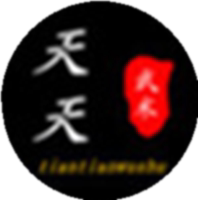 天天追潮武术厂家直销