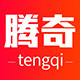 腾奇车品专营店