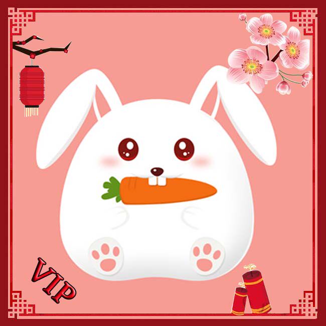 智能小白兔