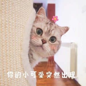 义乌鑫品百货店