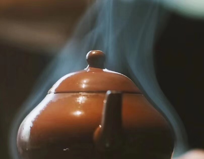 普淮茶业