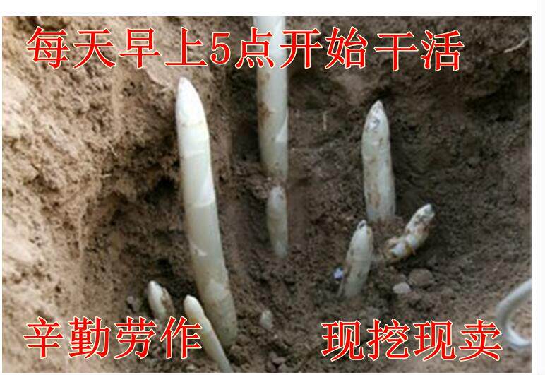 鲁西南乡土绿色农家店