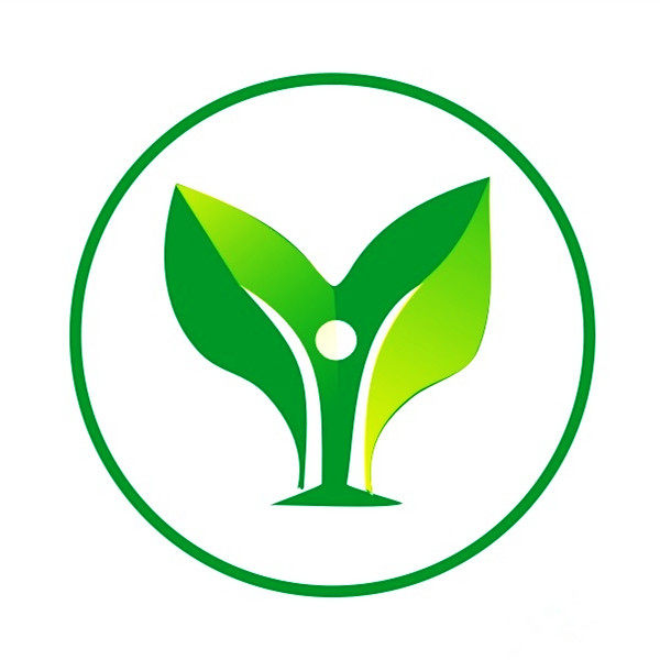 黑松造型