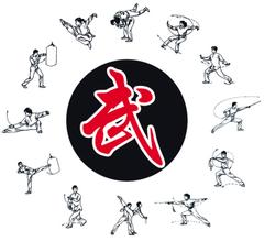 中华武术健身俱乐部