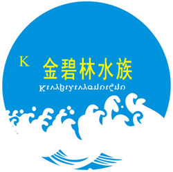 金碧林锦鲤用品 － 实体店的LOGO