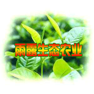 雨露生态农业直销