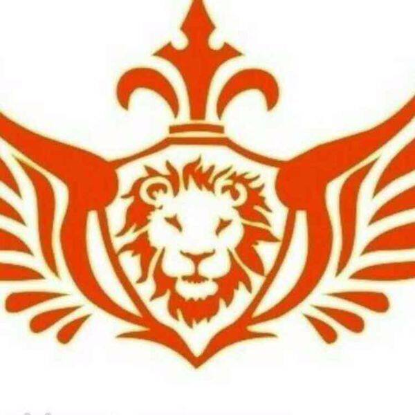 英皇舞霸厂家的LOGO