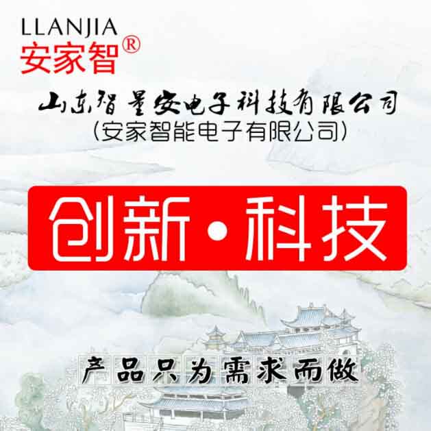 智量安电子科技的LOGO