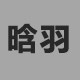 晗羽电气的LOGO
