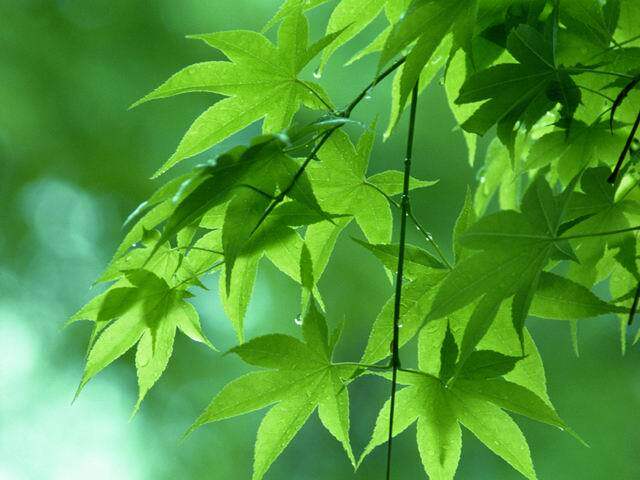 洪达数码科技