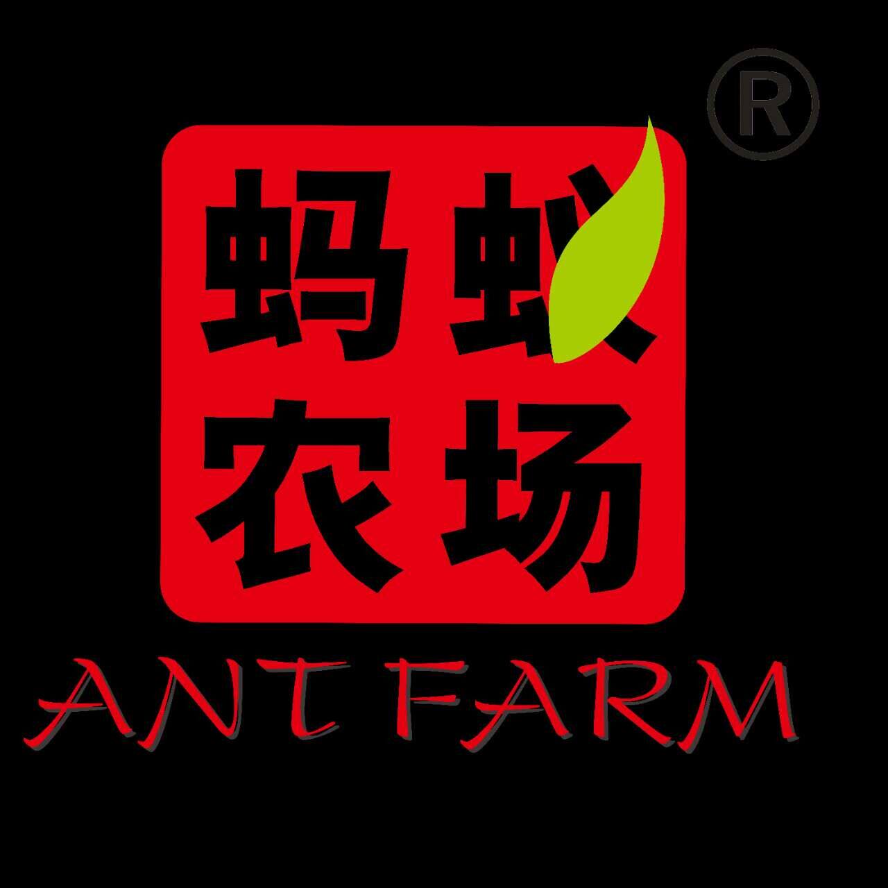 蚂蚁农场青汁网销店