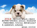 万利笼具厂家的LOGO
