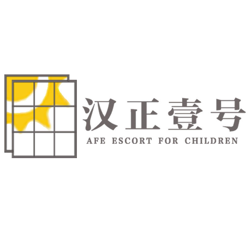 武汉汉正壹号防护网的LOGO