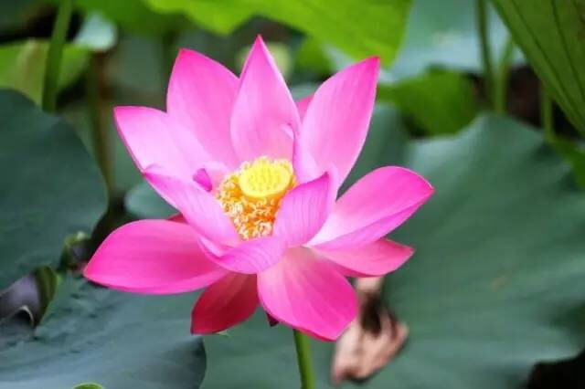 缘美菩提彩妆店