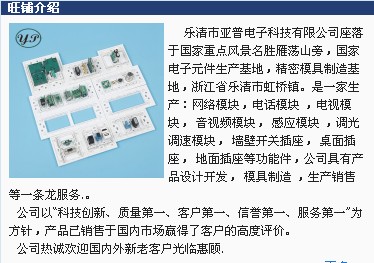 乐清市亚普电子科技
