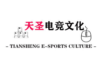 天圣电竞文化