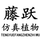 藤跃仿真植物
