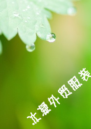 冰凝服装