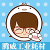 腾威无尘净化