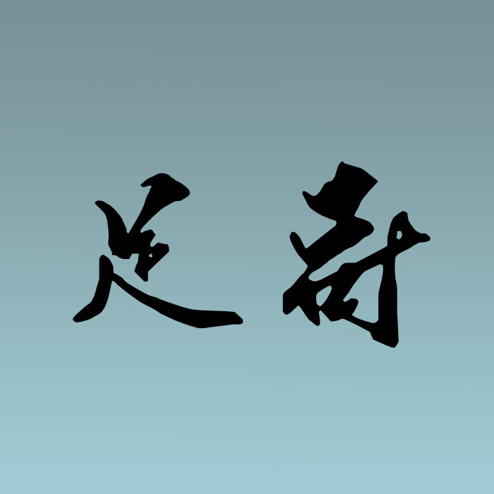 足哥袜子