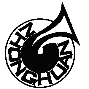 中寰乐器专营店的LOGO