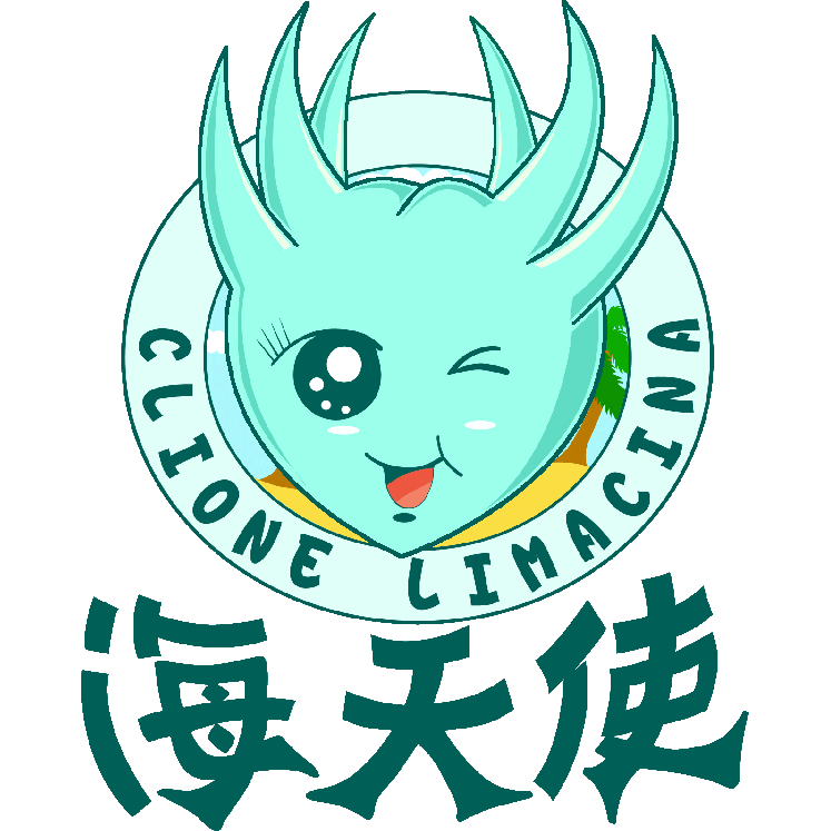 海天使亚克力