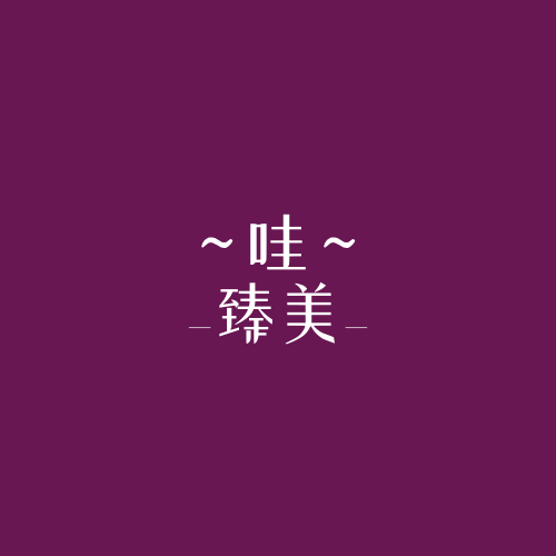 臻美时装店