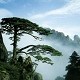 鸿鹄精品苑