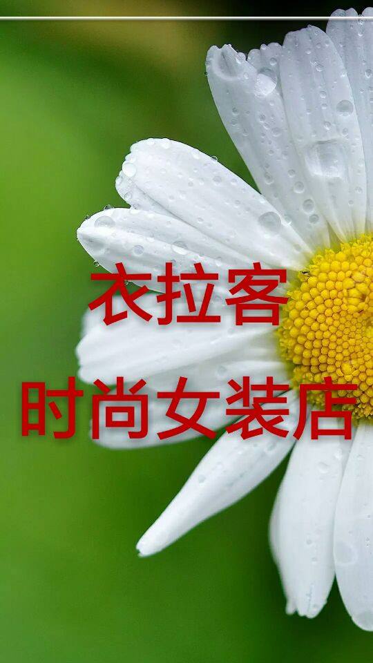 衣拉客时尚女装店
