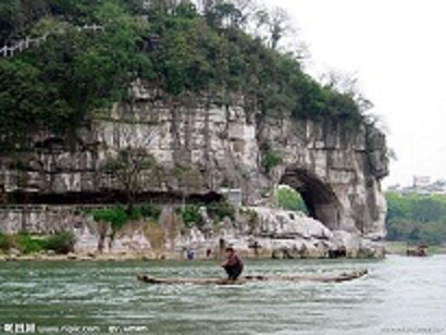 广西桂林旅游土特产罗汉果