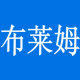 布莱姆运动专营店