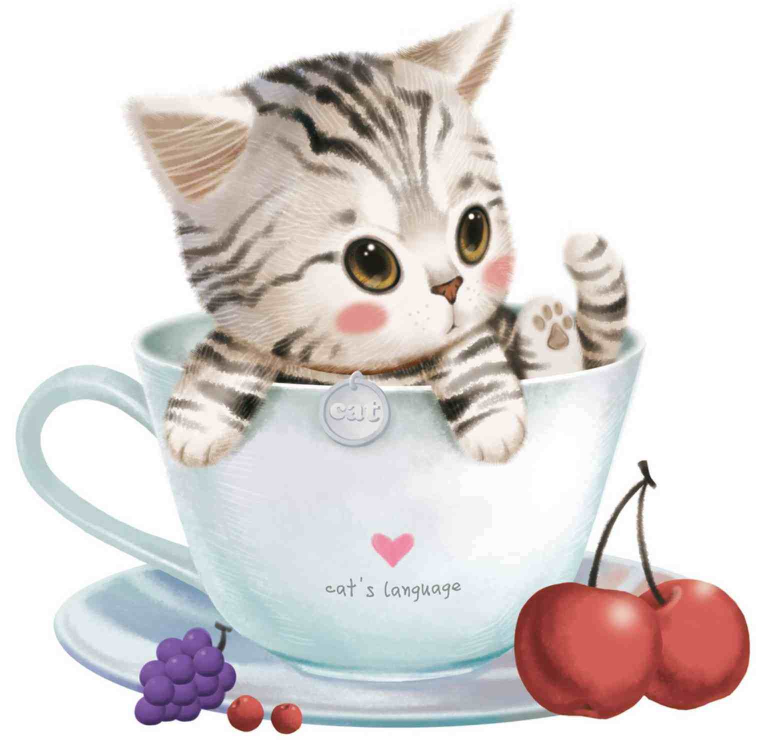 SweetCat甜甜猫童装店的LOGO
