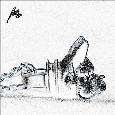 A鸦 重致