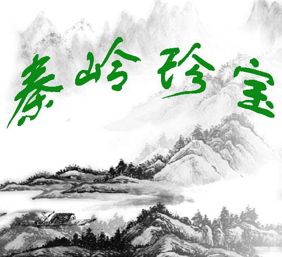 秦岭珍宝特产店