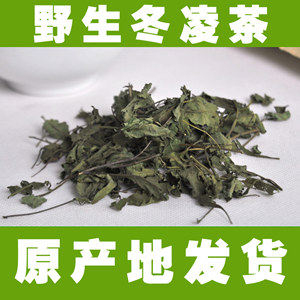 哈哈嘻嘻来了的LOGO