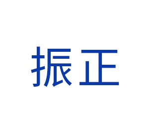 振正光电