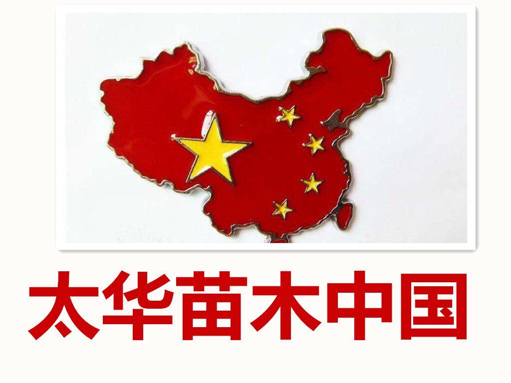 太华苗木中国