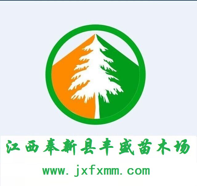 江西奉新县丰盛苗木场 造林苗 绿化苗批发电话15390780619