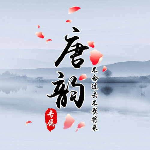 唐韵工艺品有限公司的LOGO
