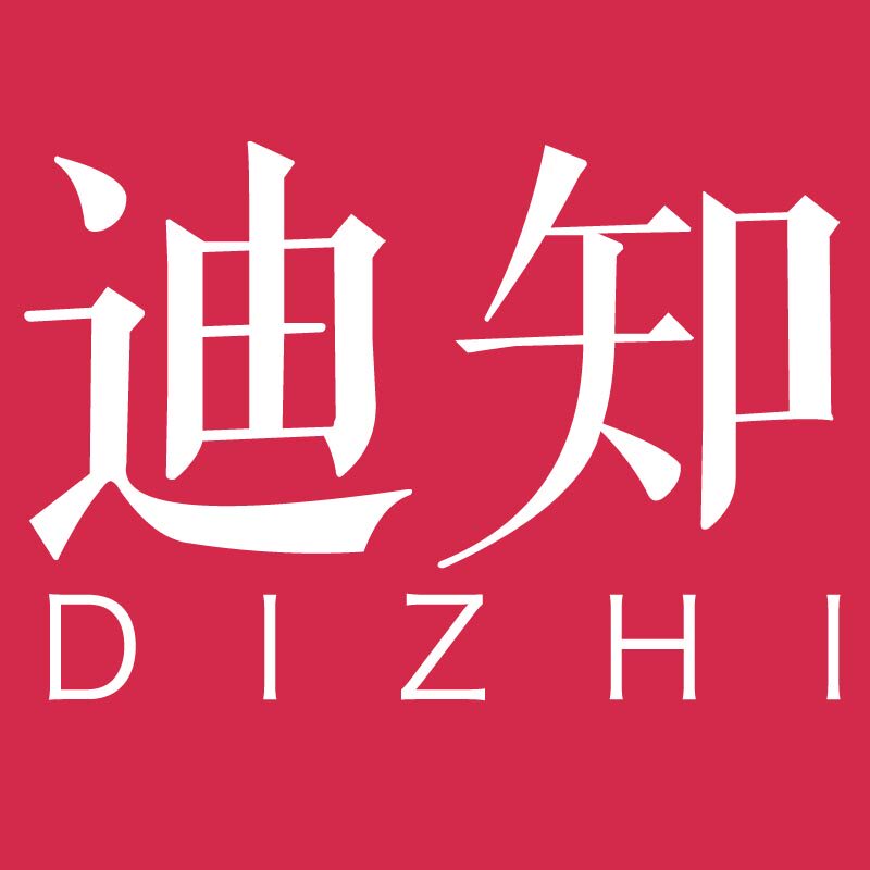 迪知旗舰店的LOGO