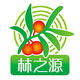 林之源旗舰店的LOGO