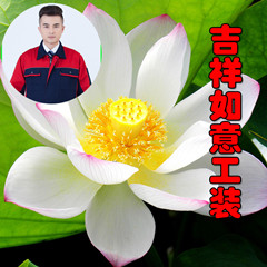 吉祥如意工装