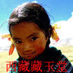 西藏藏玉堂的LOGO