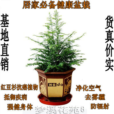 三千金園藝用品