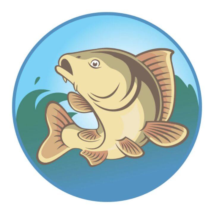 澳康卫生用品的LOGO